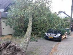 Stormschade: meldingen op tientallen plaatsen in Brabant