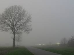 Mist in de omgeving van Tilburg (Foto: Magreet van Vianen)