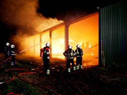 In Bladel is vannacht een stal uitgebrand. 