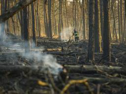 Grote rookpluimen bij brand Loonse en Drunense Duinen 