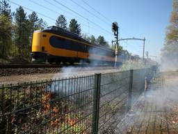 Bermbranden langs het spoor tussen Breda en Gilze-Rijen. (foto: Jeroen Stuve/Stuve Fotografie)