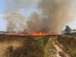 Eerste beelden van de grote heidebrand in Oirschot 