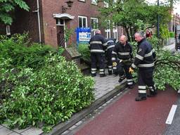 Foto: FPMB/Marvin Doreleijers