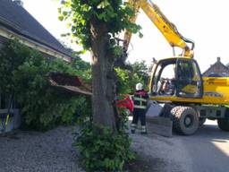 De oorzaak van het vallen van een deel van de boom is nog onduidelijk. (foto: Saskia Kusters/SK-Media)