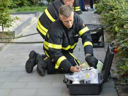 (foto: Stijn Maas/Maas Fotografie)