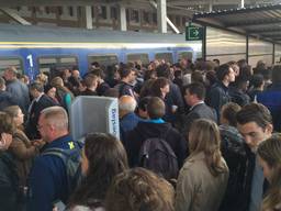 Grote drukte op station Breda door vertragingen op het spoor (Foto: Christian Traets/SQ Vision)
