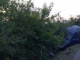 Foto: Peter van den Horst (Twitter)