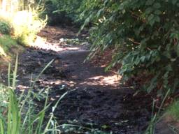Een drooggevallen sloot (foto: Waterschap Aa en Maas)