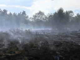 Motorrijder botst tegen brandweerauto die op weg was naar een bosbrand in Waalre
