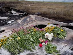 De resten van het vliegtuig in Oekraïne (foto: ANP)