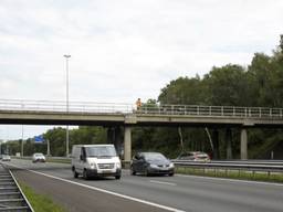 De maïskolf is vermoedelijk van dit viaduct gegooid (Foto: Marcel van Dorst/SQ Vision)