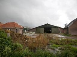 Een leegstaande boerderij (foto: ANP)