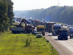 Foto: Hans van Hamersveld (SQ Vision)