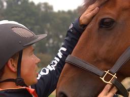 Paard van Tim Lips gaat met pensioen