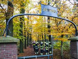 Het bos waar het lichaam van Rachid Dardari werd gevonden (Foto: Sander van Gils / SQ Vision)