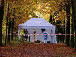 Politiewoordvoerder Bart Vaessen over vondst brandend lichaam in bos Sparrenrijk in Boxtel