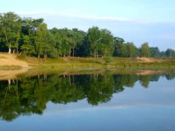 Boswachterij Dorst.