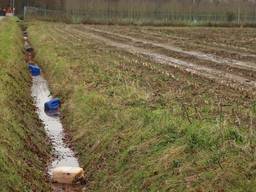 Jerrycans gevonden in Haaren (foto: Bart Meesters)