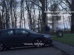 Blowjob,fuck: fifty euro op parkeerplaats Vaerland