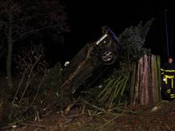 Auto tegen de boom (foto: Alexander Vingerhoeds / Obscura Foto)