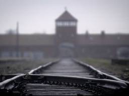 Zoni Weisz verloor in Auschwitz bijna zijn hele familie.