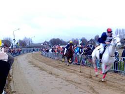 Met een noodgang racen de paarden over het Vortums Veld