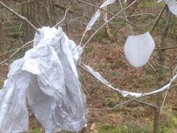 Boswachter Erik de Jonge vond deze wensballon (Foto: Erik de Jonge)