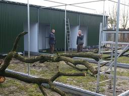 Vogelrevalidatiecentrum Zundert breidt uit en bouwt twintig extra hokken