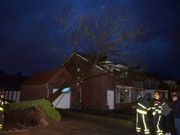 Boom op een huis in Kaatsheuvel (Foto: Martijn van Bijnen/FPMB) 