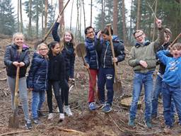 Gemeente Breda geeft notenboom aan jarig Mastbos