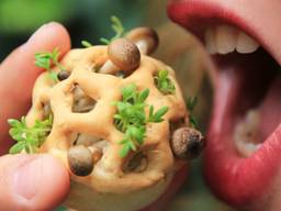 Foto: project Edible Growth