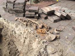Skelet in Ulicoten gevonden