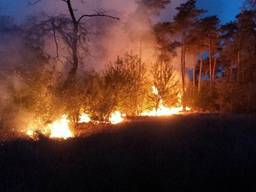 Een deel van een natuurgebied in Alphen-Chaam is afgebrand (Foto: Jeroen Stuve / Stuve fotografie)