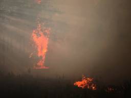 De bosbrand bij Chaam (foto Jeroen Stuve / Stuve Fotografie)
