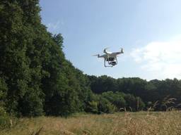 Drone speurt naar reekalfjes in Hoogerheide
