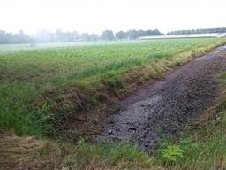 Waterschap bezorgd over droogte