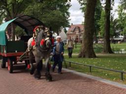 In Nuenen pauzeren de wandelaars in het park 