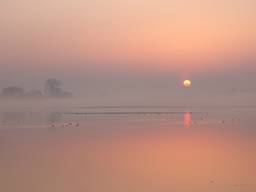 De vakjury koos voor deze zonsopgang. (foto: Liesbeth Flohil)