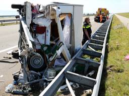 Ossenaar bij ongeluk Afsluitdijk. (foto: ANP)