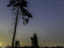 Bij de Loonse en Drunense Duinen waren de vallende sterren mooi te zien. (Foto: Gijs de Reijke).