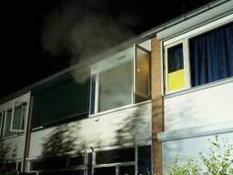 Foto: Martijn van Bijnen/Foto Persbureau Midden Brabant