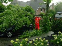 Tak op auto in Merckensblok in Hoeven. (Archieffoto: Alexander Vingerhoeds/Obscura-Foto)