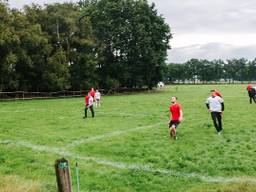 Voetbalwedstrijd tussen Brabant en Limburg. (foto: Gijs van den Berg)