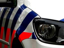 Politie heeft hond uit auto bevrijd. (archieffoto)