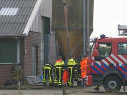 De brandweer probeert de dieren te bevrijden. (Foto: Martijn van Bijnen/FPMB).