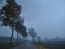 Herfststorm in Budel-Schoot (foto: Ben Saanen)