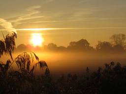 Foto: Margreet van Vianen, Tilburg