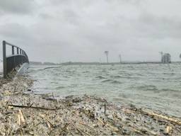 'Het Biesboschwater mag het voormalige poldergebied instromen', boswachter Thomas van der Elst kijkt naar hoog water bij dijk Werkendam