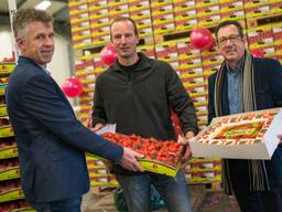 Tien miljoen kilo aardbeien op de veiling in Zundert (foto: Erik Bastiaensen)