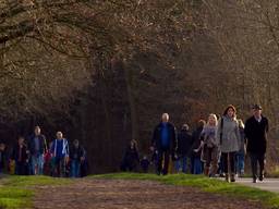 Lekker wandelen in de Loonse en Drunense Duinen.